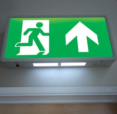 Eterna Lighting Self-Test 4W LED Maintained Emergency Exit Box | SEEXIT3ML
