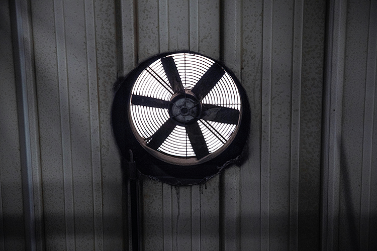 Heat Recovery vs Standard Extractor Fans: Which is Best for Your Home?